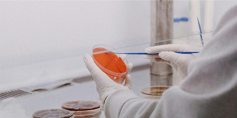 告別人工誤差：這款微生物細胞計數儀，用亞甲基藍原理算準酵母活率